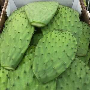 Meet your Posher, Ricardo